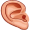 ear5