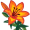 lily5