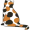 calico_cat5