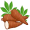 tapioca5