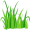 grass5