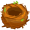 nest5