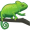 chameleon5