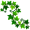 ivy5