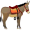 mule5