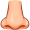 nose5