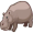 hippo5