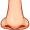 nose5