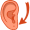 earlobe5
