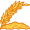 oat5