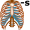 rib-s5