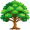 oak5