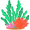 algae5