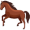 mustang5