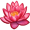 lotus5