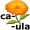 ca-lend-ula5