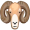 ram5