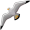 albatross5