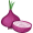 onion5