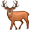 elk5