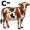 c-ow5