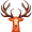 stag5