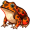 toad5