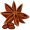 anise5