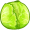 cabbage2