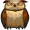 owl5
