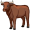 oxen5