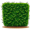 hedge5