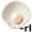pearl5