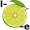 lime5