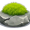 moss5