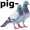 pigeons5