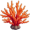 coral5