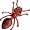 ant5