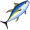 tuna5