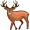 elk5