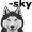 husky5