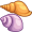 seashells5