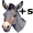 donkey5