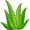 aloe5