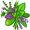 herbs5