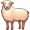 ewe5
