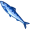 sardine5