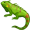 iguana5