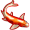 koi5