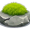 moss5